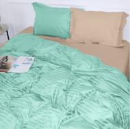 Наволочка Satin Stripe 30-0014+30-0004 Aivengo 70x70 см мятный/бежевый MirSon