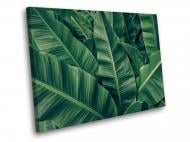 Картина Зеленые банановые листья 40x30 см WallArt 54445-1.1