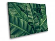 Картина Зеленые банановые листья 80x60 см WallArt 54445-1.3