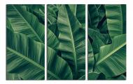 Картина модульная Зеленые банановые листья 120x80 см WallArt 54445-3.2