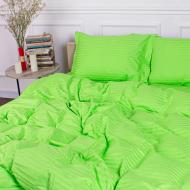 Наволочка Satin Stripe 30-0016 Light Green 70x70 см светло-зеленый MirSon