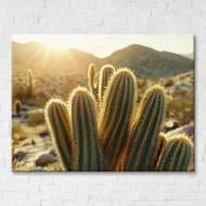Картина на холсте Кактусы 75x100 см Brushme FNK0122016