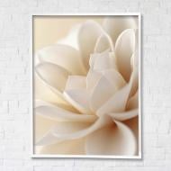 Картина на полотні Квітка 1 з білою рамкою 75x100 см Brushme FNK0122023_RN53-17