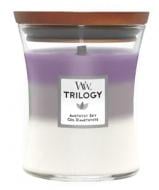 Свеча ароматическая Woodwick Medium Trilogy Amethyst Sky (Аметистовое небо) 275 г