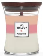 Свеча ароматическая Woodwick Medium Trilogy Blooming Orchard (цветущий фруктовый сад) 275 г