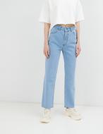 Джинсы Why Not Denim JSTR4 JSTR4 р. 30 голубой