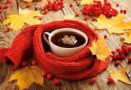 Набор со стразами на подрамнике Чай с калиной 40x50 см (У) 178603 GoToArt