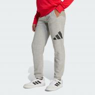 Штани Adidas J BL FT PT 280 JD2092 р. 13-14YRS сірий