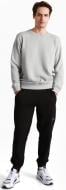 Брюки THE NORTH FACE M NSE LIGHT PANT NF0A4T1FJK3 р. M черный