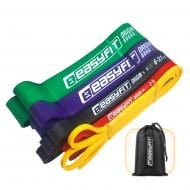 Петля для фитнеса EasyFit набор для подтягиваний и тренировок 1-65 кг 5 шт (EF-NR-1-65-5) в ассортименте