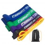 Петля для фитнеса EasyFit набор для подтягиваний и тренировок 1-110 кг 6 шт (EF-NR-1-110-6) в ассортименте