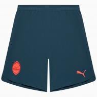 Шорти Puma FCSD Shorts Promo Gray Skies-Neon Sun 77971802 р. XL сірий