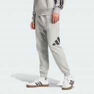 Брюки Adidas M BL FT PT JE8969 р. L серый
