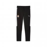 Брюки Puma FCSD EVOSTRIPE Pants Black-Whi 78281211 р. L черный