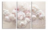 Картина модульная Светлые пионы 3Д 180x120 см WallArt 54462-3.4