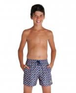 Шорти Arena BEACH BOXER ALLOVER 005252-550 р. 6 різнокольоровий