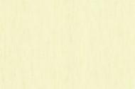 Обои виниловые на флизелиновой основе Bravo 81100BR08 1,06x10,05 м