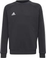 Джемпер Adidas CORE18 SW TOP Y CE9062 чорно-білий