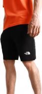 Шорти THE NORTH FACE M GRAPHIC SHORT LIGHT-EU NF0A3S4FJK3 р. L чорний