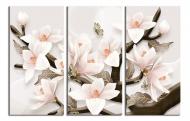 Картина модульная Величественная магнолия 3Д 150x100 см WallArt 54469-3.3