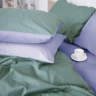 Наволочка Satin Premium 0844+0843 Edward 70x70 см зеленый/голубой MirSon