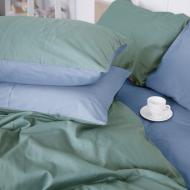 Наволочка Satin Premium 0844+0845 Walter 60x60 см зеленый/голубой MirSon