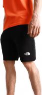 Шорти THE NORTH FACE M GRAPHIC SHORT LIGHT-EU NF0A3S4FJK3 р. XL чорний