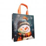 Пакет подарунковий (сумка ламінована) новорічна 290*330*100 мм. Рендпако-ЕКО