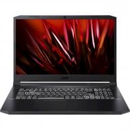 Ноутбук Acer Nitro 5 17,3" (NH.QAREU.007) shale black