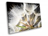 Картина Светлый одуванчик 80x60 см WallArt 54478-1.3