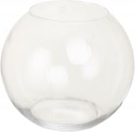 Ваза стеклянная Wrzesniak Glassworks аквариум 17,5 см прозрачная 17-174