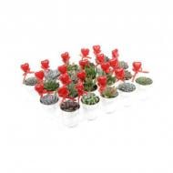 Растение Суккуленты 07х09 микс в цинковых ведрах Растение Суккуленты 07х09 микс в цинковых ведрах