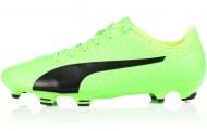 Бутсы Puma evoPOWER Vigor 4 FG 10396301 р.40,5 зеленый