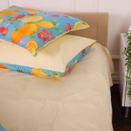 Наволочка сатин 22-1228 Grenoble 40x60 см мульти MirSon