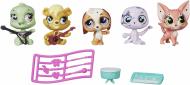 Игровой набор Hasbro Littlest Pet Shop 5 зверюшек с аксессуарами B0282_B2933