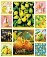 Тетрадь 48 листов клетка, серия ароматная (груша) Тетрада