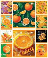 Тетрадь 48 листов клетка серия ароматная (запах апельсина) Тетрада