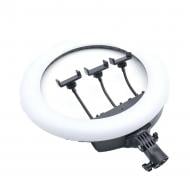 Светильник кольцевой RTAKO AR-GTB01-18S Digital display Ring Light ABS 18" (6942063218661)