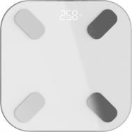 Весы напольные HausMark C30 LED Smart HMBS-001LW