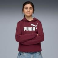 Джемпер Puma ESS No. 1 Logo Hoodie FL G 68489696 бордовий
