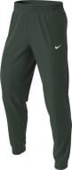 Штани Nike CLUB FLC TPR CFF PT-NFS 826431-337 р. M зелений