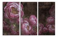 Картина модульная Величественные пионы 90x60 см WallArt 54509-3.1