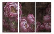 Картина модульная Величественные пионы 120x80 см WallArt 54509-3.2 Картина модульная Величественные пионы 120x80 см WallArt 54509-3.2