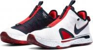 Кроссовки мужские Nike PG 4 CD5079-101 р.41 белые