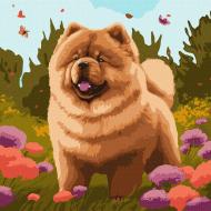 Картина по номерам Очаровательный чау-чау ©art_selena_ua 40x40 см Ideyka