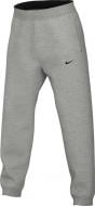 Брюки Nike M NK SPOTLIGHT PANT CK6442-063 р. 2XL светло-серый