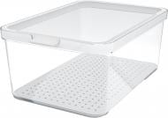 Контейнер для пищевых продуктов с крышкой Rotho CAUMA 4,65 л прозрачный/белый