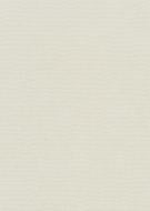 Шпалери вінілові на флізеліновій основі Erismann Aurora 12247-02 1,06x10,05 м