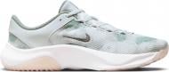 Кроссовки женские Nike LEGEND ESSENTIAL 3 NEXT NATURE PREMIUM DV9008-001 р.38 серые