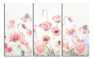 Картина модульная Нежные полевые маки 90x60 см WallArt 54540-3.1